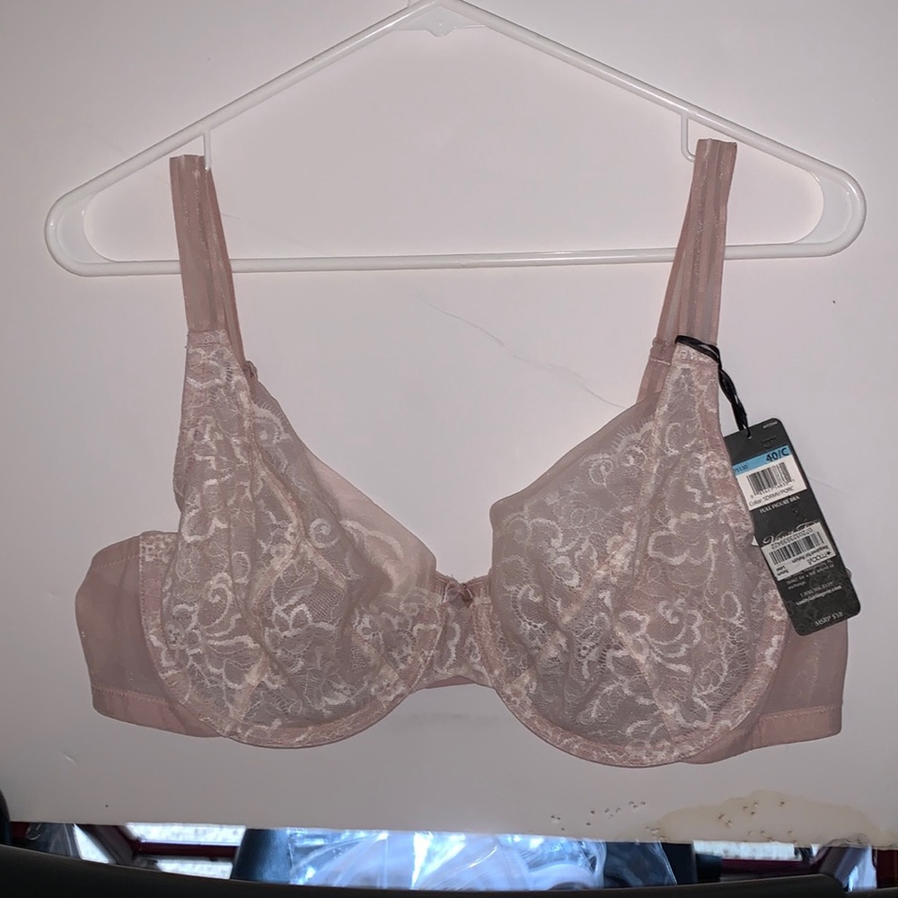 Vanity Fair 40/C light peach sheer floral bra.